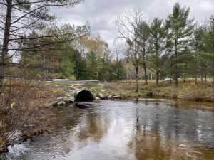 New Project for the Ottaway’s North Branch