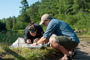 New Macroinvertebrate Survey for the Ottaway (Boardman) River