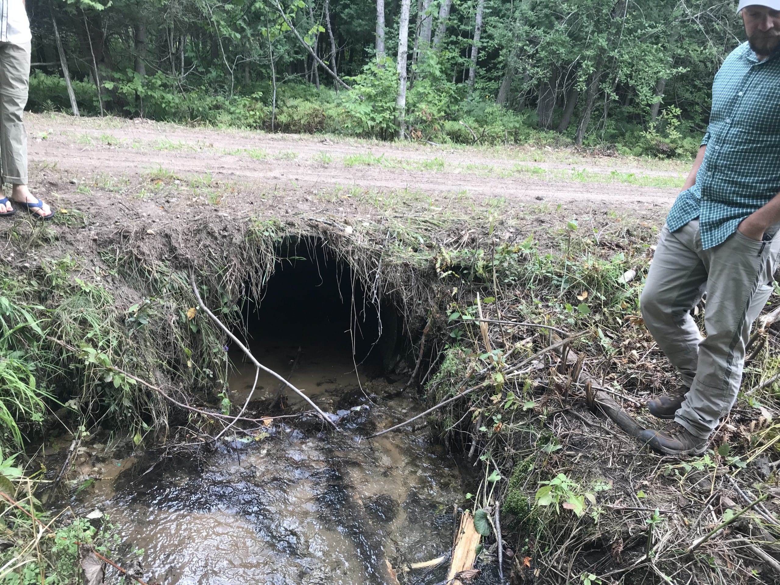 North Branch Platte trib Skinner Rd