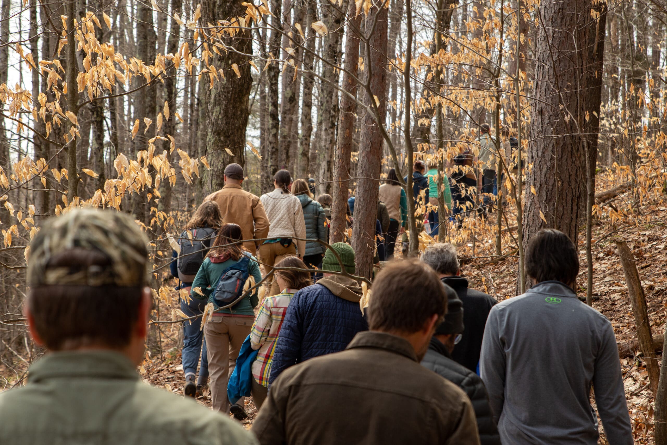 CRA and GTRLC Tour the Lower Woodcock Lake Nature Preserve