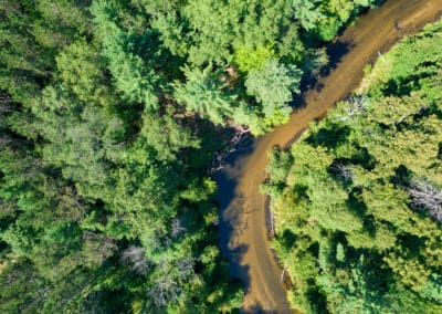 Groundbreaking Techniques Halt Erosion on Pine River