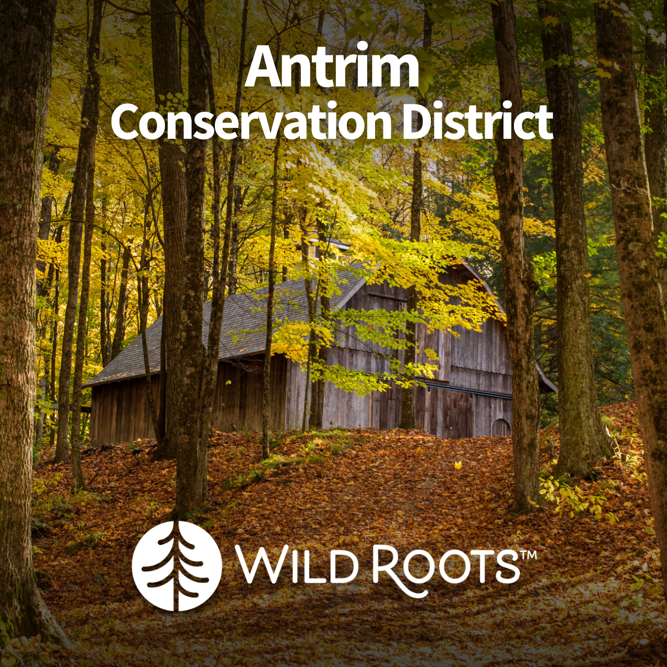 Antrim Conservation District- Tree Protectors and $50 Native Seedling Voucher (2025-2026)