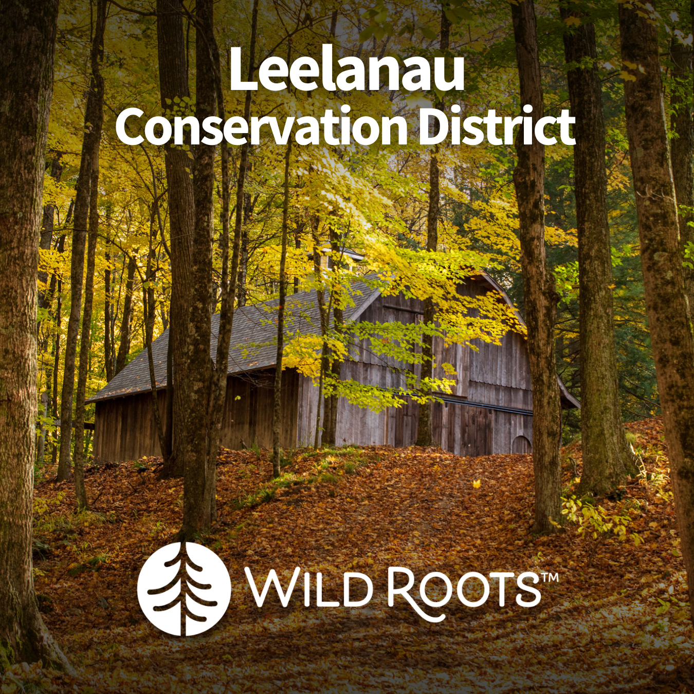 Leelanau Conservation District- Tree Protectors and $50 Native Seedling Voucher (2025-2026)