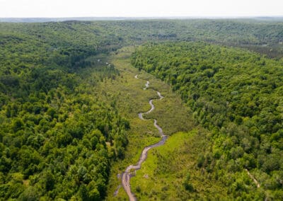 Spanning the Headwaters of the Jordan River and Deer Creek