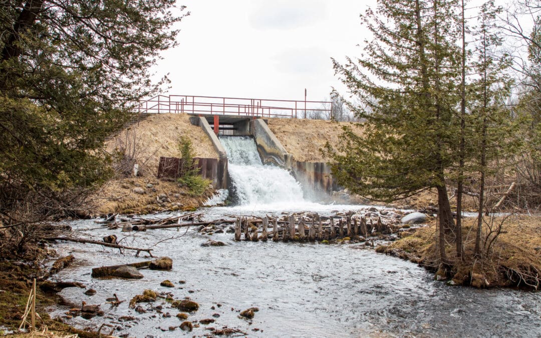Restoring the Wild Flow of the Rapid River