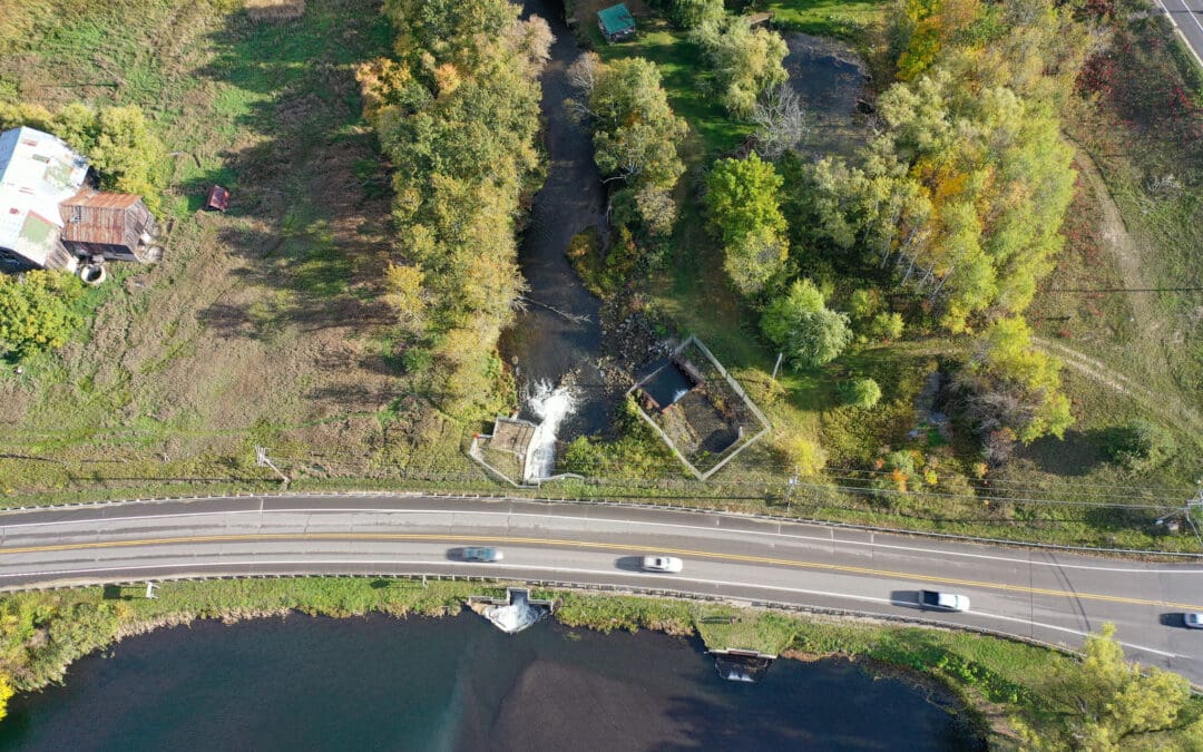 Freeing the South Branch: The Future of Boyne Falls Dam