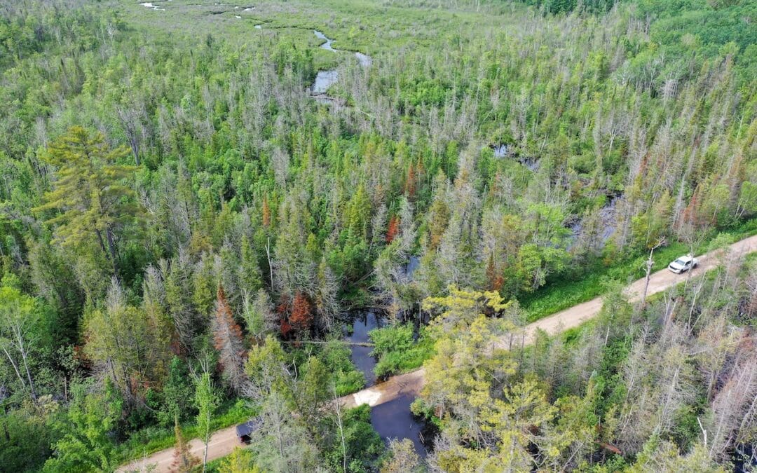 Connecting the Big Manistee: Anderson Creek Stream Crossing Removal 