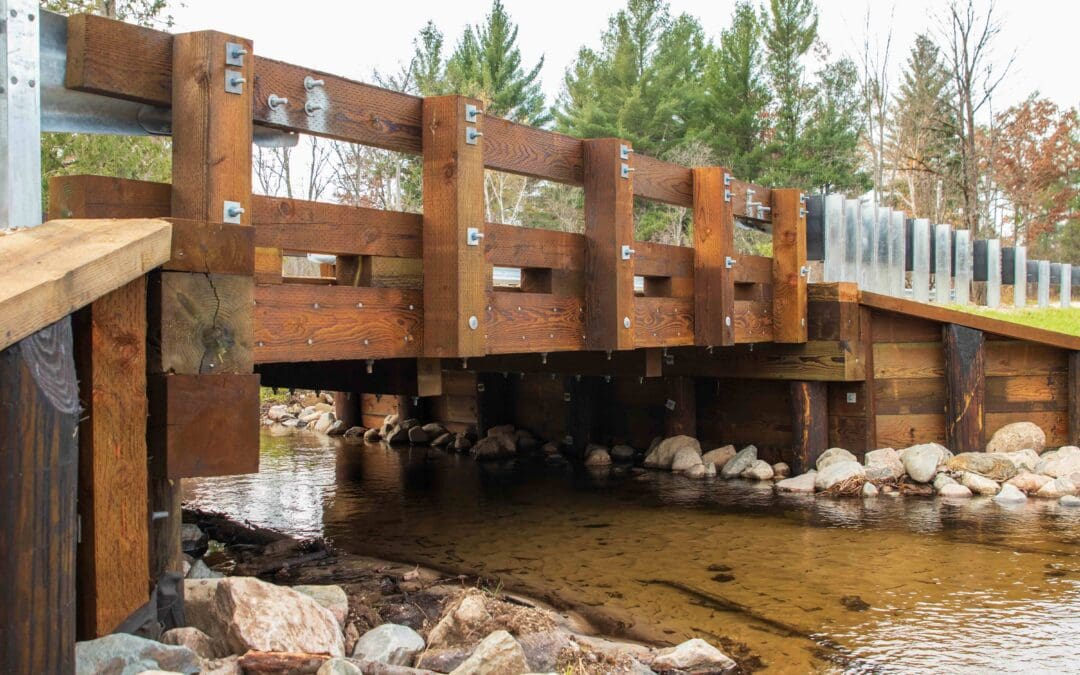 Restoring Fish Passage on North Cole Creek