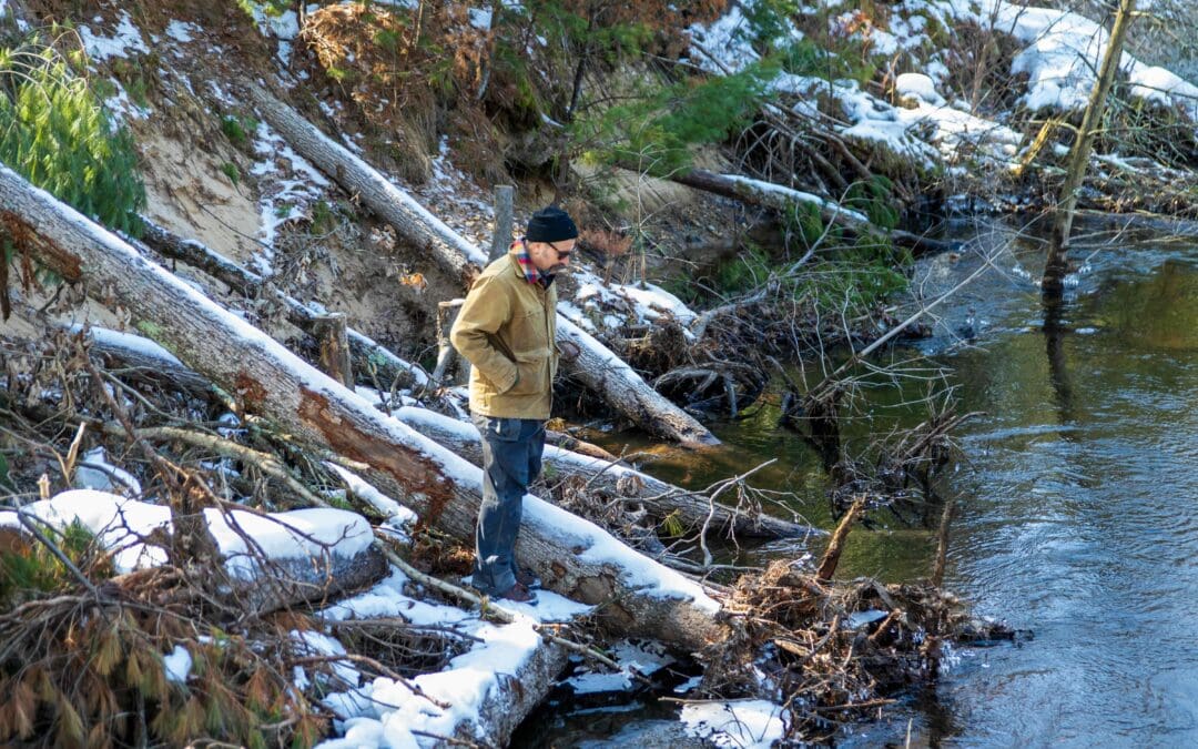 Reviving the Little South Branch