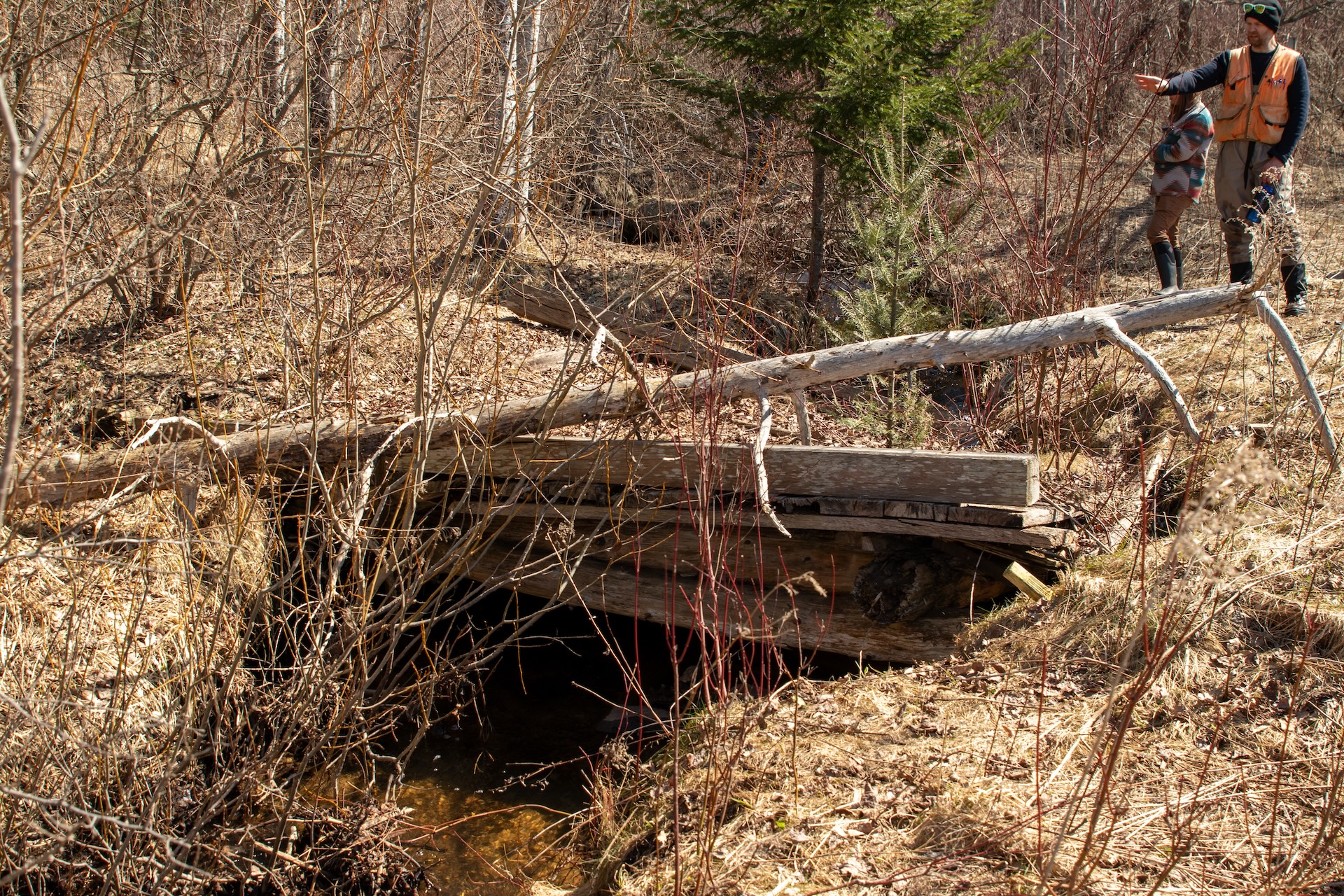 A deteriorating golf cart bridge spans a small stream at Mitchell Creek Meadows Nature Preserve, where restoration efforts will improve habitat connectivity and stream function.