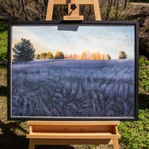 Lavender Field