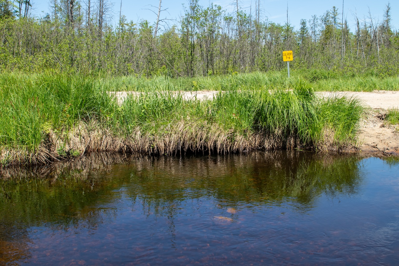 IMG_9041 Stream flowing toward a culvert beneath Grass Lake Road, with grassy banks, dense vegetation, and a gravel road crossing in the background.