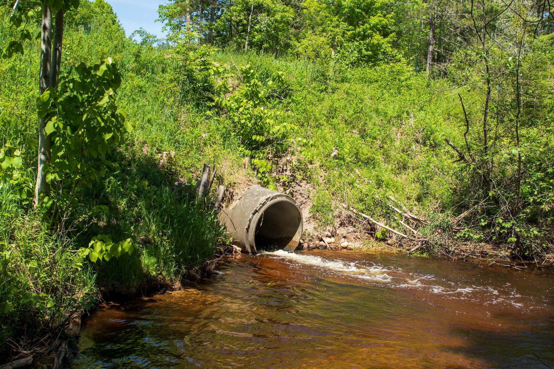 IMG_9058 Undersized concrete culvert discharging water into a stream, creating turbulent flow and a potential barrier to fish passage in a forested watershed.